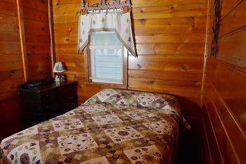 Lucky Horseshoe Cabins Otel Au Sable Dış mekan fotoğraf